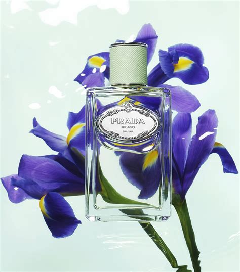 buy prada infusion d iris|prada infusion d'iris reviews.